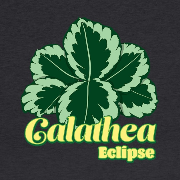 Calathea Eclipse by LEO+SKYLAR